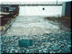 総合治水対策特定河川工事（護岸工）　施工中